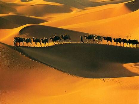 甘肃西部沙漠 Desert in West of Ganshu