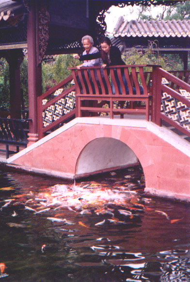 Nancy and Grandma feeding fish