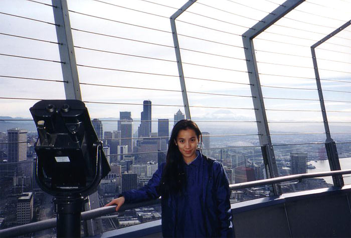 At the top of Space Needle 塔上景观